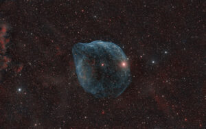 SH2-308: The Dolphin Head Nebula