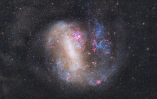 The Large Magellanic Cloud Galaxy