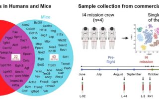 aging-and-fragility-biomarkers-are-altered-by-spaceflight