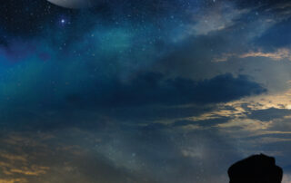 developing-high-performance-bioinspired-surface-textures-for-repelling lunar-dust