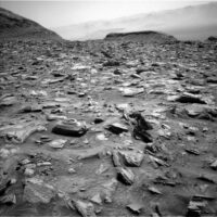 sols-4437-4438:-coordinating-our-dance-moves