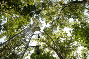 nasa-data-supports-everglades-restoration