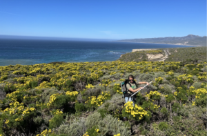 nasa-takes-to-the-air-to-study-wildflowers