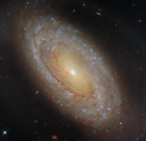 hubble-studies-a-nearby-galaxy’s-star-formation