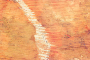 linear-sand-dunes-in-the-great-sandy-desert
