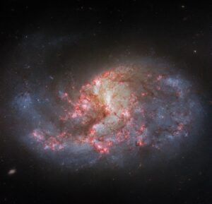 hubble-filters-a-barred-spiral