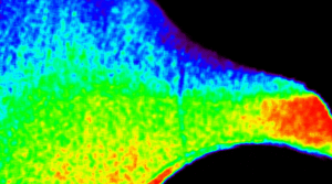 nasa’s-codex-captures-unique-views-of-sun’s-outer-atmosphere