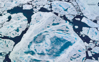 thinning-arctic-sea-ice