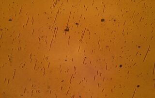 nasa,-northrop-grumman-to-send-medical,-technology-studies-to-space