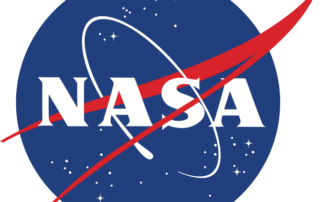 paw-participant-discussion