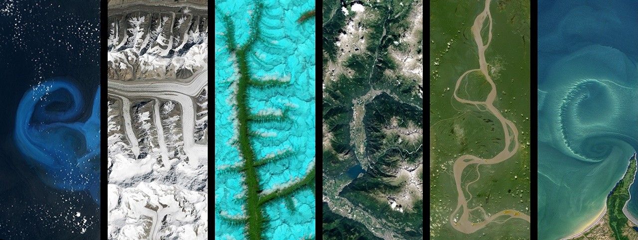 webinar-series:-teaching-with-emerge-&-globe-mission-mosquito