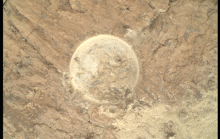 the-ancient-mars-variety-show