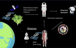 lettuce-find-healthy-space-food!-citizen-scientists-study-space-salads
