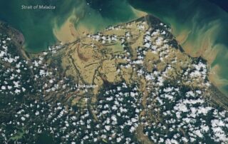 senyar-swamps-sumatra