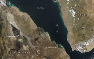 hayli-gubbi’s-explosive-first-impression