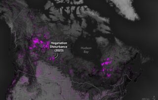 what’s-next-for-hls