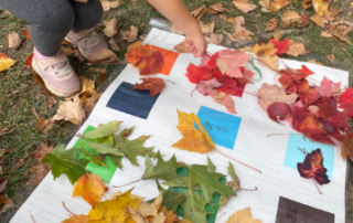 students-across-new-england-contribute-to-climate-science-through-nasa’s-globe-green-down