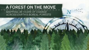 boreal-forests-are-shifting-north