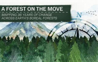 boreal-forests-are-shifting-north
