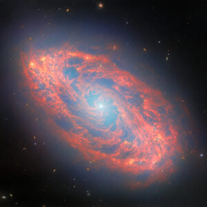 webb-spots-details-in-nearby-spiral-galaxy