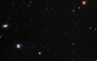 dim-delights-in-cancer