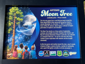 artemis-moon-tree-dedicated-in-honor-of-mary-w.-jackson