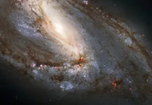 celestial-wonders-in-leo