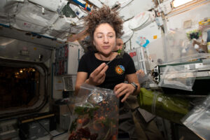 nutrition-research-arrives-aboard-space-station