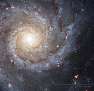 M74: A Grand Design Spiral