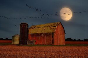 what’s-up:-september-2026-skywatching-tips-from-nasa