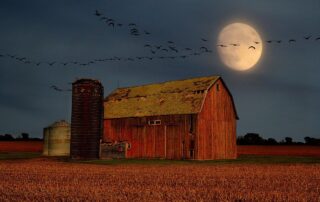 what’s-up:-september-2026-skywatching-tips-from-nasa