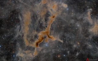 apod:-2026-september-10-–-ldn-1295:-the-giraffe-nebula