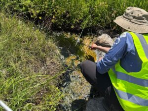 nasa-funded-research-finds-complex-life-defying-record-heat